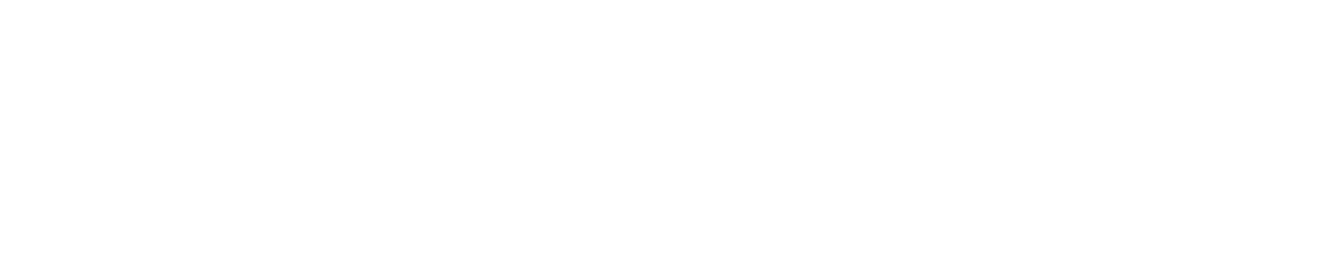 Talent Vantage